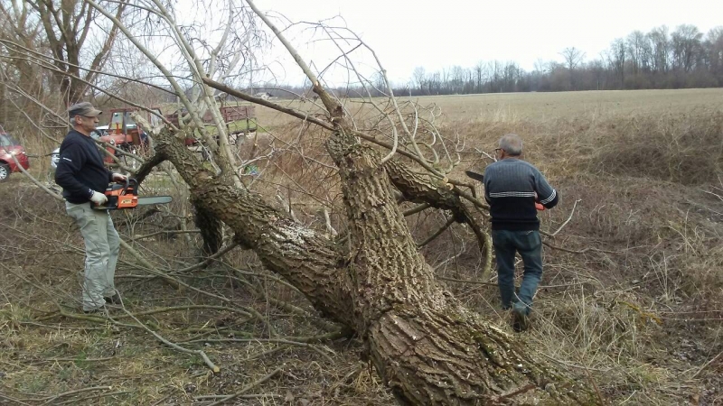 Čišćenje šume i priprema za vuzmenku 09.03.2019._2