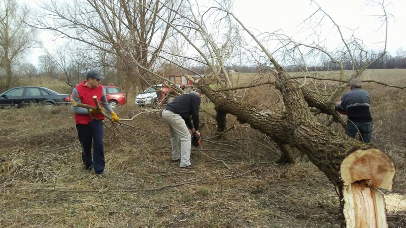 Čišćenje šume i priprema za vuzmenku 09.03.2019._3