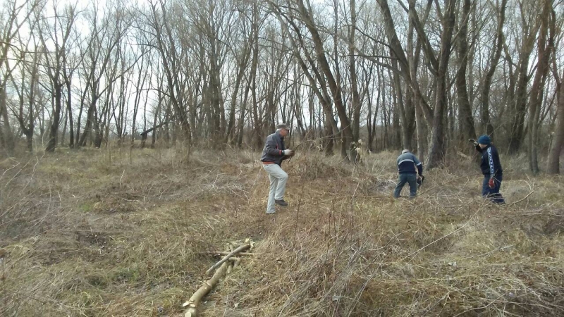 Čišćenje šume i priprema za vuzmenku 09.03.2019._10
